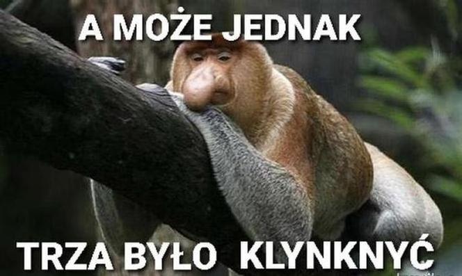 Najlepsze memy po meczu Polska - Anglia! 