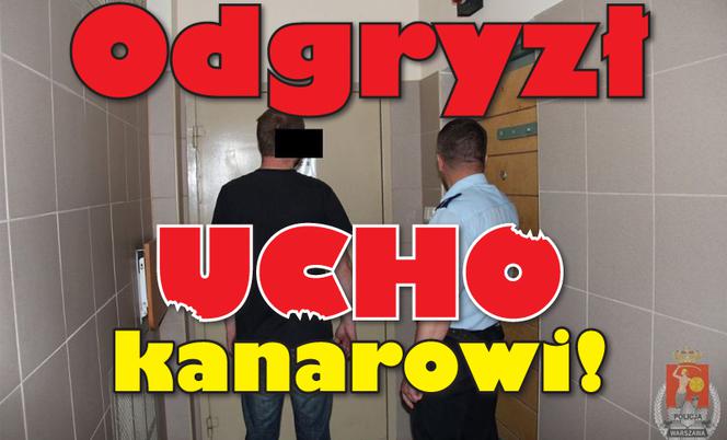 Okrutna zemsta na warszawskim "kanarze"! "Polski Mike Tyson" odgryzł mu kawał ucha!