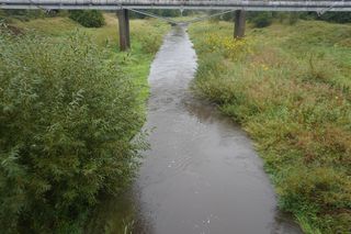 Rzeka Kamienna w Skarżysku