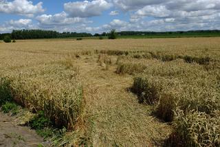 Tragiczny wypadek  w Zbulitowie Dużym. Zginęło dwóch 18-latków