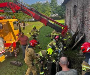 Strażacy uratowali konia, który wpadł do betonowego zbiornika z wodą