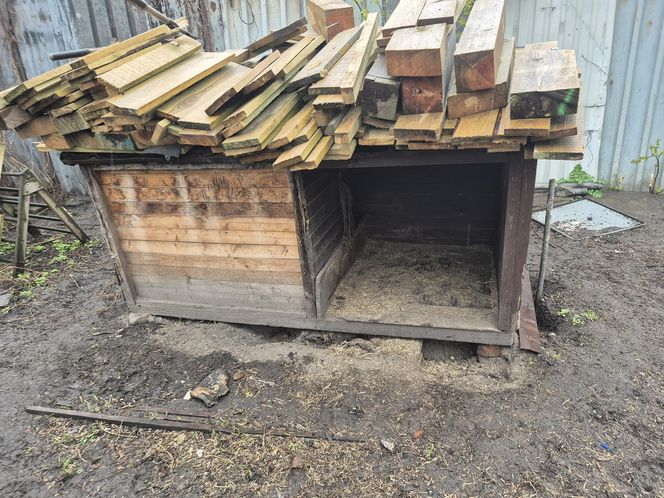 Dramat w Pruszkowie. Przetrzymywał zwierzęta w skandalicznych warunkach. Właściciel próbował się ich pozbyć