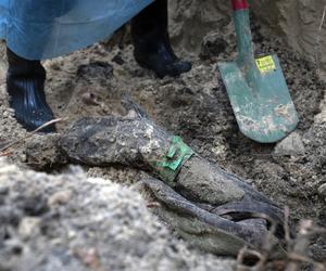 Ukraina. Ekshumacja masowych grobów w Izium