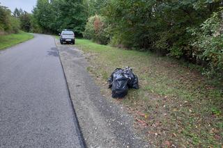 Więźniowie pomagali sprzątać Przemyśl. Zebrano 5 ton śmieci! [ZDJĘCIA]