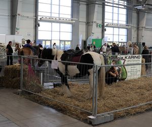 ZooPark ponownie przyciągnął do Targów Lublin tłumy miłośników zwierząt