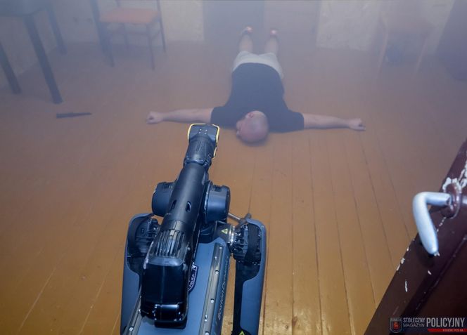 Ma cztery łapy, stalowe serce i właśnie podał łapę policjantowi. „Robopies” nowym hitem w służbach