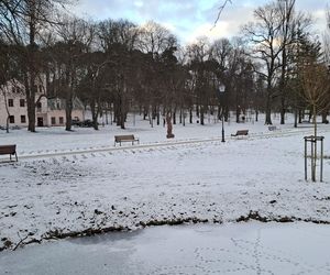 Nałęczów - Park Zdrojowy zimą