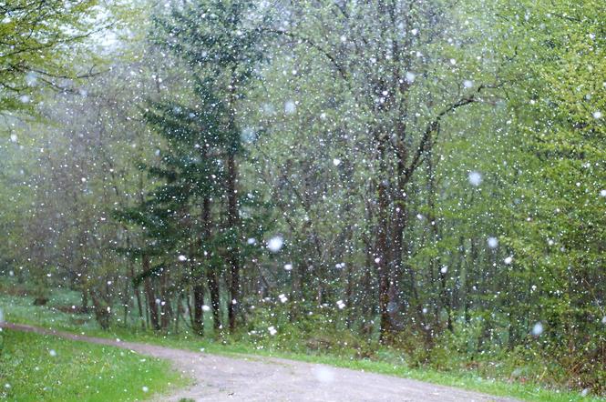 Deszcz ze śniegiem i krupa śnieżna, a później to! IMGW o trudnym początku tygodnia [Prognoza pogody 11.04.2022]