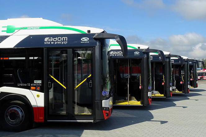 Elektra, Czystek czy Władca Prądu? Ruszyło głosowanie na imiona dla autobusów