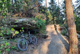 Lubelskie - powstała pierwsza ścieżka Single Track
