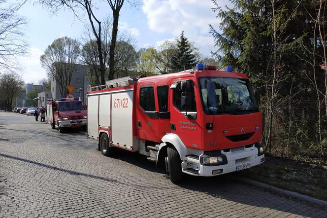 Śmierć w Zabrzu. Na mężczyznę spadło drzewo