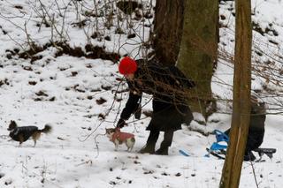 Marta Kaczyńska zabrała synka na sanki