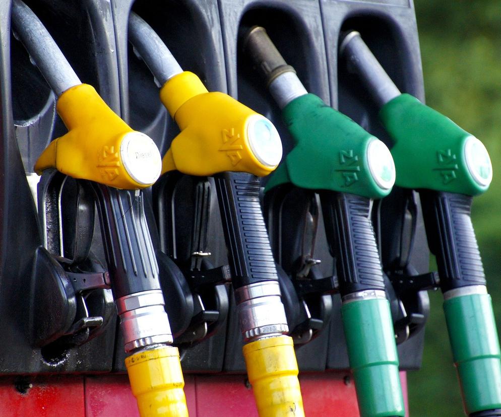 Ceny benzyny w Polsce. W Łódzkiem kierowcy zatankują najtaniej