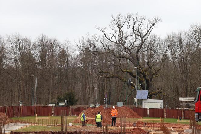 Nowy budynek powstaje przy Dębie Bartku w Zagnańsku