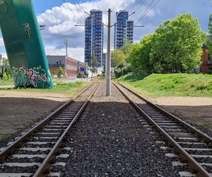 Torowisko tramwajowe na Babiej Wsi w Bydgoszczy zarośnięte chwastami. Tramwaje zniknęły stąd lata temu