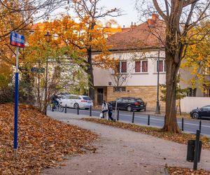 Kolonia profesorska w Warszawie