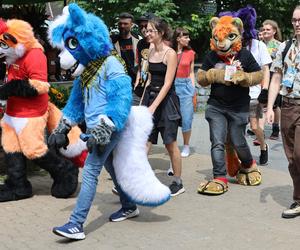 Marsz futrzaków w Lublinie. Tak wyglądał I Lubelski Fursuitwalk