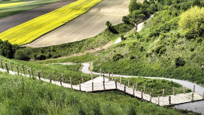 Nowe atrakcje. Grodzisko Stradów