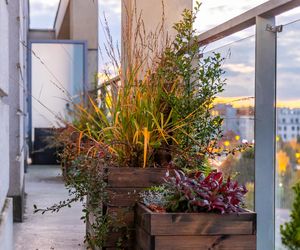 Jesienna metamorfoza balkonu