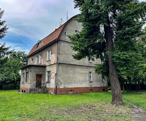  Zazdrość zabiła Anetę! Krwawy dramat w Braniewie