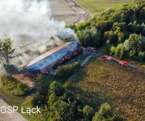 Pożar w Stadzie Ogierów w Łącku pod Płockiem