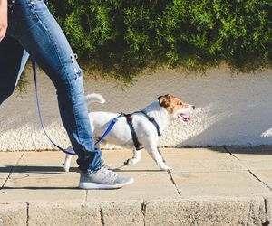 Nie licz kroków, tylko tempo. Ten jeden nawyk podczas spaceru może wydłużyć życie nawet o lata