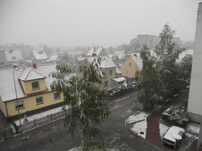 Chojnów - śnieg padający w maju