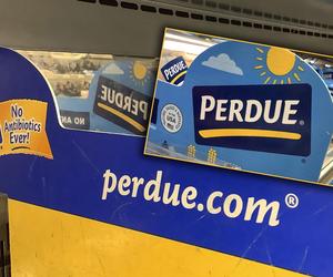 Uwaga na nuggetsy z drutem! Firma wycofuje tony kurczaka 