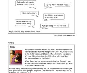 Matura próbna CKE angielski grudzień 2022