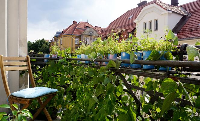 Najpiękniejszy katowicki balkon 2021. Zobacz, jak wyglądały nagrodzone balkony! 