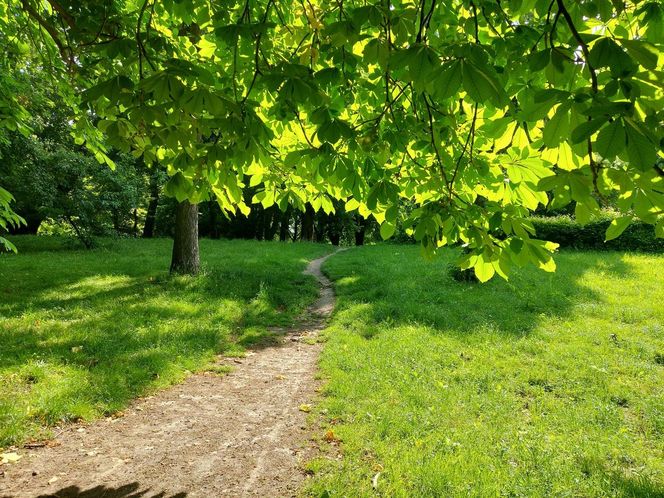 Park Miejski w Zamościu