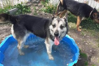 Mokka w COZ w Grudziądzu