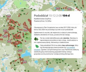 Mapa wycinki lasów 2025 - woj. zachodniopomorskie