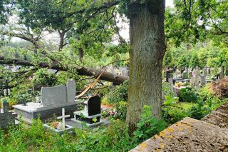 Burze nad województwem łódzkim. Strażacy interweniowali blisko 240 razy