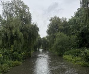 Brynica woj. śląskie - Sosnowiec, Stawiki