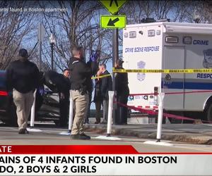 Zwłoki 4 noworodków znalezione w domu