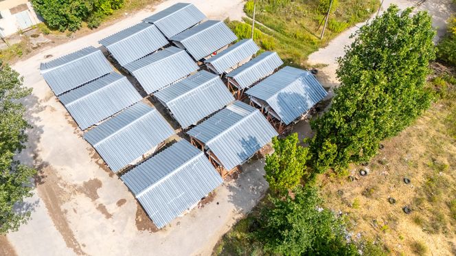 Elementy rozebranego pawilonu „Emilia” przechowywane na Białołęce w Warszawie