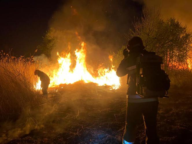 INFERNO w Żabnie! Sześć jednostek straży pożarnej walczyło z płomieniami