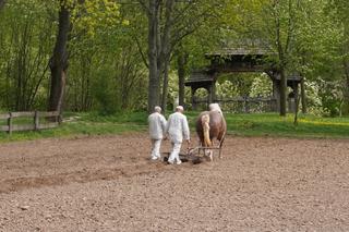 Muzeum Wsi Lubelskiej