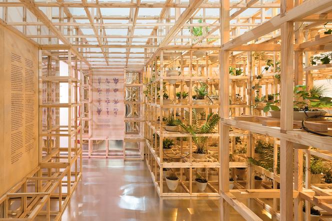 Greenhouse Silent Disco