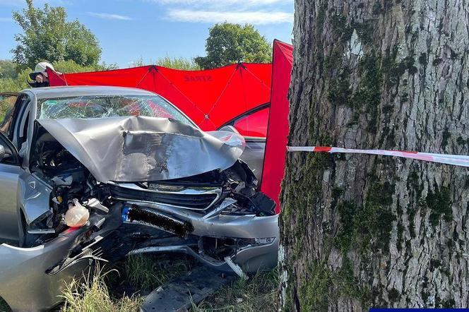Śmiertelny wypadek na drodze powiatowej Ruszkowo-Mosznica