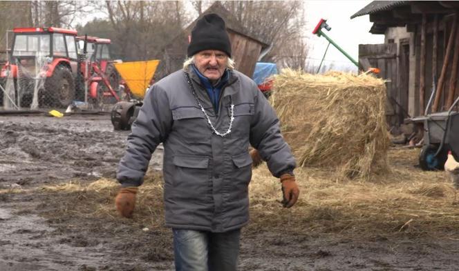 Rolnicy. Podlasie. Gorąco w Plutyczach. Gienek i Sławek próbowali zagonić cielaki do obory