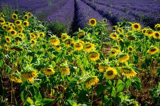 AI podpowiada: te zakątki świata musisz zobaczyć choć raz w życiu