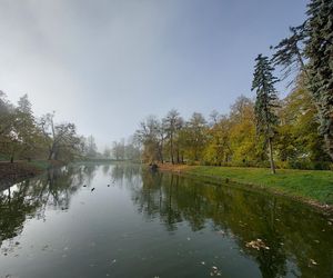 Zamojski Park jesienią
