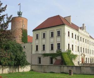 Muzeum dostało dotacje