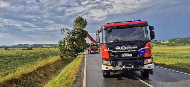 Dolnośląskie. Burze wyrządziły wiele szkód w regionie. Tak wyglądają okolice Jawora [ZDJĘCIA].