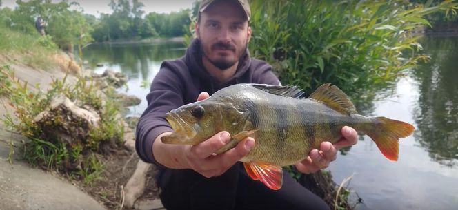 Wędkują w środku miasta i to nocą. Brda i centrum Bydgoszczy to raj dla miłośników street fishingu