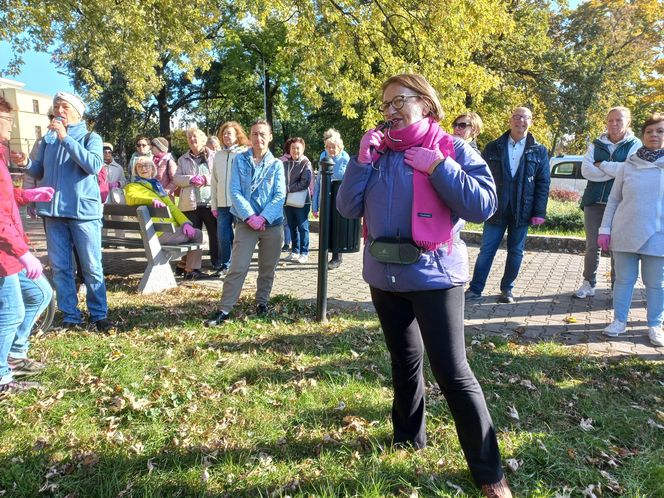 2 tysiące żonkili posadzono na Polu Nadziei w Lesznie. To symbol walki z rakiem