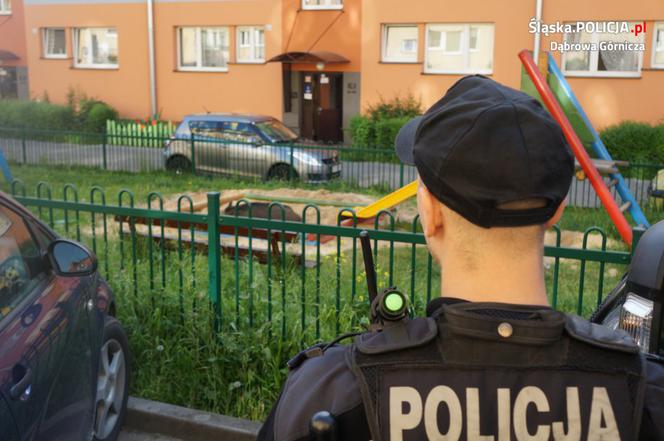 Na jednym z osiedli popłoch siał... dzik śpiący w piaskownicy!
