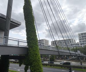Kolejna kładka do likwidacji w Warszawie. W jej miejscu powstanie przejście naziemne